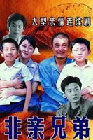 《非亲兄弟》电视剧全集免费在线观看完整版高清播放