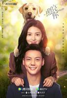 《照亮你》电视剧免费在线观看全集高清完整版