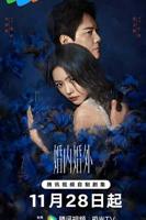 《婚内婚外》电视剧全集免费在线观看高清完整版