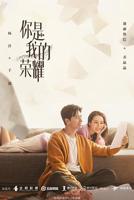 《你是我的荣耀》电视剧全集免费在线观看高清完整版