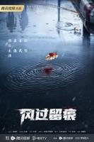 《风过留痕》电视剧国语全集免费高清完整版在线观看