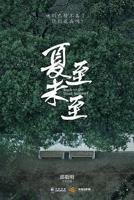 《夏至未至》电视剧全集免费观看完整版
